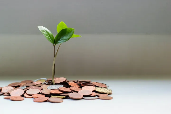 Como Montar uma Carteira de Dividendos em 5 Passos